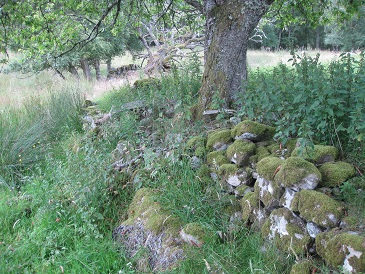 Margrochach walled enclosure, Wester Invervack
