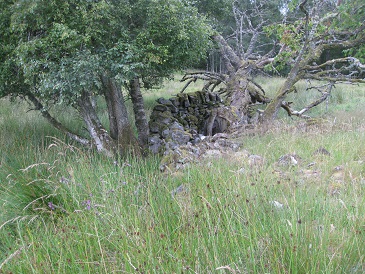 Margrochach walled enclosure, Wester Invervack
