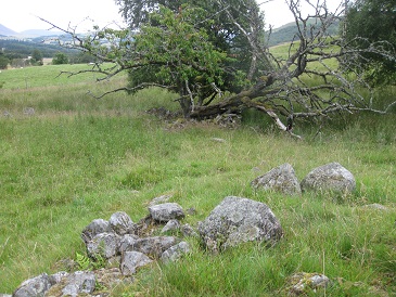 Margrochach walled enclosure, Wester Invervack