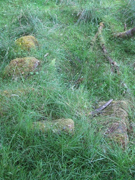 The 'well' at Margrochach, Wester Invervack