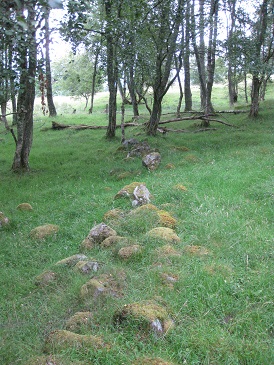 The upper dyke-head at Margrochach, Wester Invervack