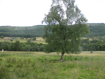 Margrochach farm site, Wester Invervack