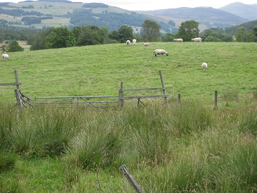 Margrochach farm entrance, Wester Invervack