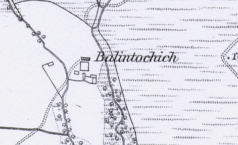 O.S. Map of Balintochich in 1867